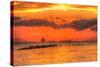 Old Pier and Gull after Sunset-Robert Goldwitz-Stretched Canvas