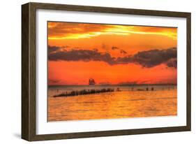 Old Pier and Gull after Sunset-Robert Goldwitz-Framed Photographic Print