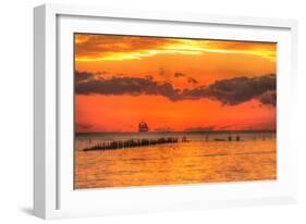 Old Pier and Gull after Sunset-Robert Goldwitz-Framed Photographic Print