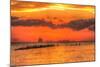 Old Pier and Gull after Sunset-Robert Goldwitz-Mounted Photographic Print