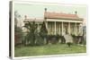 Old Plantation, New Orleans, Louisiana-null-Stretched Canvas