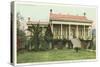 Old Plantation, New Orleans, Louisiana-null-Stretched Canvas