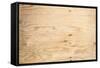 Old Plywood Texture-Winai Tepsuttinun-Framed Stretched Canvas