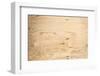 Old Plywood Texture-Winai Tepsuttinun-Framed Photographic Print