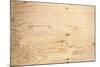 Old Plywood Texture-Winai Tepsuttinun-Mounted Photographic Print