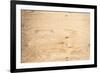 Old Plywood Texture-Winai Tepsuttinun-Framed Photographic Print