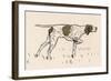 Old Ponto, the Pointer-null-Framed Art Print