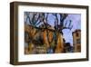 Old Poplars, France-Nicolas Hugo-Framed Giclee Print