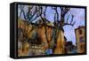 Old Poplars, France-Nicolas Hugo-Framed Stretched Canvas