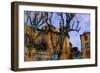 Old Poplars, France-Nicolas Hugo-Framed Giclee Print