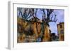 Old Poplars, France-Nicolas Hugo-Framed Giclee Print