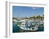 Old Port and Marina, Sanremo (San Remo), Italy, Mediterranean-Ethel Davies-Framed Photographic Print