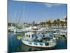 Old Port and Marina, Sanremo (San Remo), Italy, Mediterranean-Ethel Davies-Mounted Photographic Print