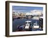 Old Port Canal and Fishing Boats, Bizerte, Tunisia, North Africa, Africa-Dallas & John Heaton-Framed Photographic Print