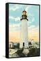 Old Port Isabel Lighthouse-null-Framed Stretched Canvas