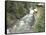 Old Power Plant on Sullivan Creek, Metaline Falls, Washington, USA-Jamie & Judy Wild-Framed Stretched Canvas