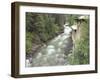 Old Power Plant on Sullivan Creek, Metaline Falls, Washington, USA-Jamie & Judy Wild-Framed Premium Photographic Print