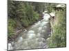 Old Power Plant on Sullivan Creek, Metaline Falls, Washington, USA-Jamie & Judy Wild-Mounted Photographic Print