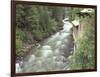 Old Power Plant on Sullivan Creek, Metaline Falls, Washington, USA-Jamie & Judy Wild-Framed Photographic Print