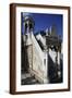 Brown Frame