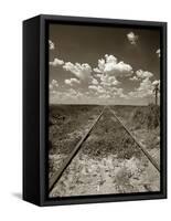 Old Railroad Tracks-Aaron Horowitz-Framed Stretched Canvas