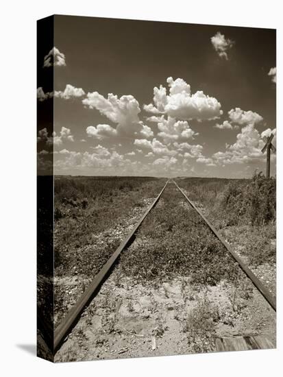 Old Railroad Tracks-Aaron Horowitz-Stretched Canvas