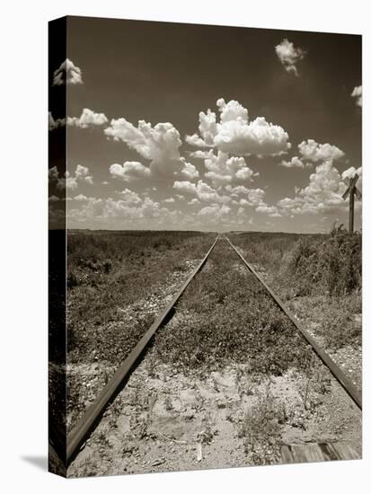 Old Railroad Tracks-Aaron Horowitz-Stretched Canvas