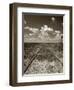 Old Railroad Tracks-Aaron Horowitz-Framed Photographic Print