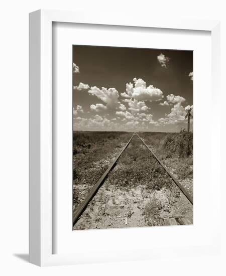 Old Railroad Tracks-Aaron Horowitz-Framed Photographic Print