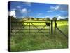 Old Railway Gate, Exe Valley, Devon, England, United Kingdom, Europe-Jeremy Lightfoot-Stretched Canvas