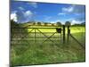 Old Railway Gate, Exe Valley, Devon, England, United Kingdom, Europe-Jeremy Lightfoot-Mounted Photographic Print