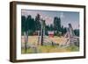 Old Ranch, Mount Shasta, California-null-Framed Photographic Print