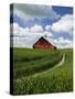Old Red Barn and Spring Crop of Wheat, Genesee, Idaho, USA-Terry Eggers-Stretched Canvas