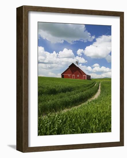 Old Red Barn and Spring Crop of Wheat, Genesee, Idaho, USA-Terry Eggers-Framed Photographic Print