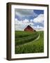 Old Red Barn and Spring Crop of Wheat, Genesee, Idaho, USA-Terry Eggers-Framed Photographic Print