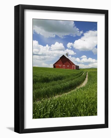 Old Red Barn and Spring Crop of Wheat, Genesee, Idaho, USA-Terry Eggers-Framed Photographic Print