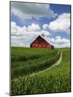 Old Red Barn and Spring Crop of Wheat, Genesee, Idaho, USA-Terry Eggers-Mounted Photographic Print