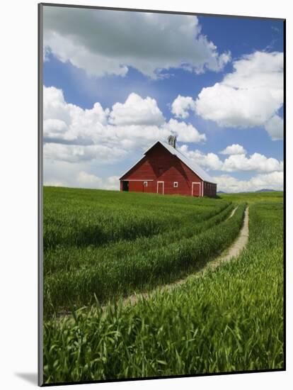 Old Red Barn and Spring Crop of Wheat, Genesee, Idaho, USA-Terry Eggers-Mounted Photographic Print