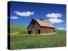 Old Red Barn in a Field of Spring Wheat-Terry Eggers-Stretched Canvas