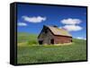 Old Red Barn in a Field of Spring Wheat-Terry Eggers-Framed Stretched Canvas