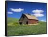 Old Red Barn in a Field of Spring Wheat-Terry Eggers-Framed Stretched Canvas