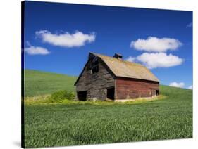 Old Red Barn in a Field of Spring Wheat-Terry Eggers-Stretched Canvas