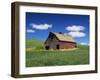 Old Red Barn in a Field of Spring Wheat-Terry Eggers-Framed Premium Photographic Print