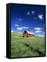 Old Red Barn in a Field of Spring Wheat-Terry Eggers-Framed Stretched Canvas