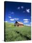 Old Red Barn in a Field of Spring Wheat-Terry Eggers-Stretched Canvas