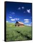 Old Red Barn in a Field of Spring Wheat-Terry Eggers-Framed Stretched Canvas