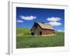 Old Red Barn in a Field of Spring Wheat-Terry Eggers-Framed Photographic Print