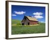 Old Red Barn in a Field of Spring Wheat-Terry Eggers-Framed Photographic Print