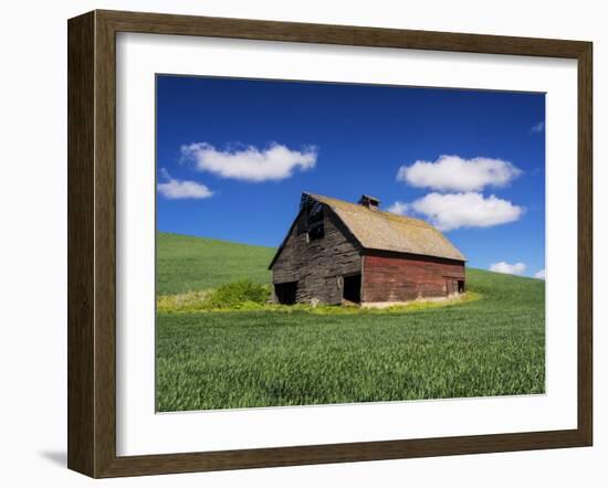 Old Red Barn in a Field of Spring Wheat-Terry Eggers-Framed Photographic Print