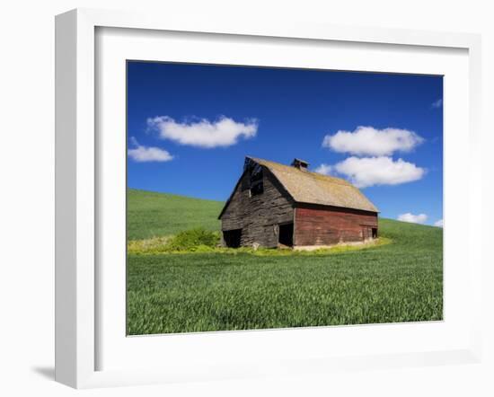 Old Red Barn in a Field of Spring Wheat-Terry Eggers-Framed Photographic Print